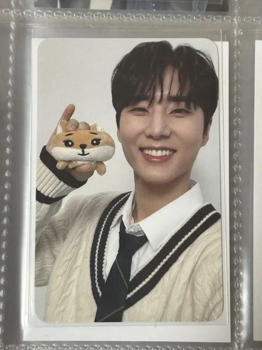 Day 6 Cherry Blossom Acrylic Stand poca Young K