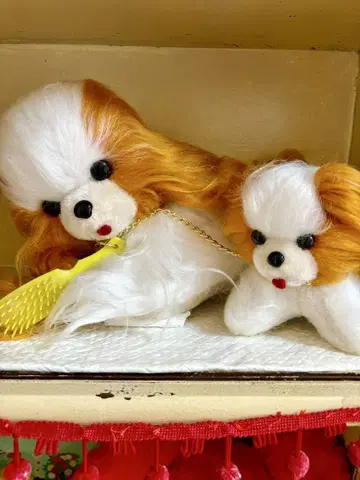 관리 강아지 쇼와 레트로