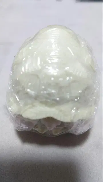 생물대도감 거북 4개 세트 거북