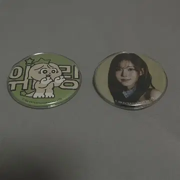 aespa 윈터 potd 캔뱃지