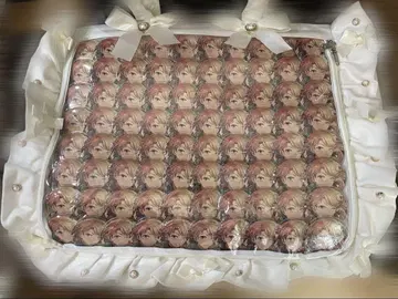 앙스타 나루카미 아라시 테마 스카우트 캔뱃지 80개