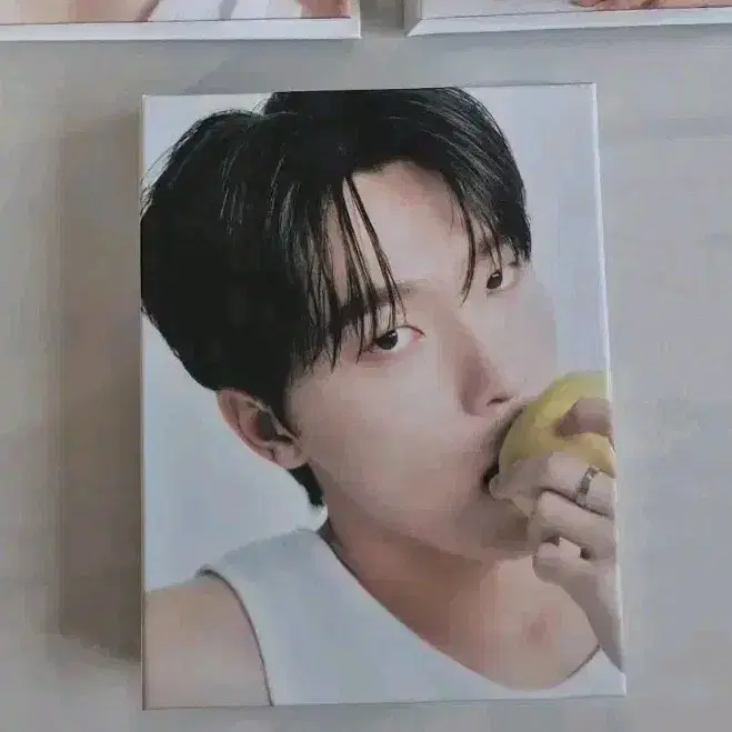 세븐틴 디노 베스트 앨범 캐럿반 디어 버전 바인더+포카