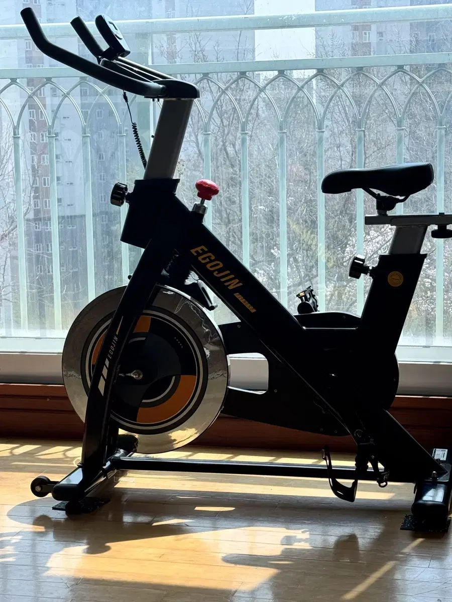 Ego Spin Bike