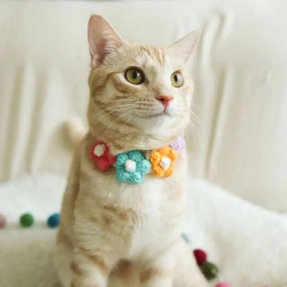 Cost 2.4 Cat Dog Flower Choker Necklace Flower Necklace