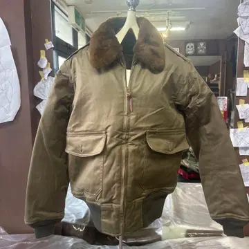 버즈릭슨스 B10 플라이트 자켓 백 프린트