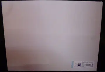 브로콜리 5주년 메모리얼 사진 카뮤