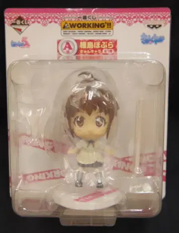 반프레스토 가장 큰 복권/워킹 A상 귀염둥이 캐릭터 타네시마 포프라