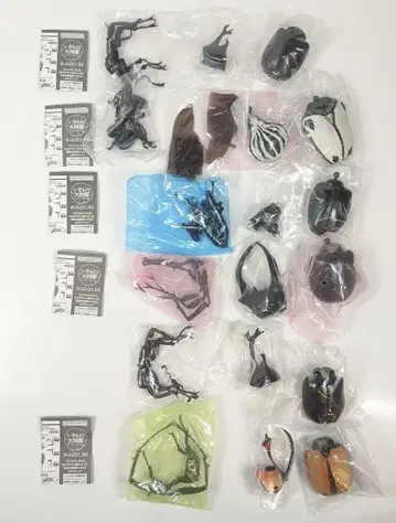 반다이 생물대도감 가부토무시 04 전 6종 세트