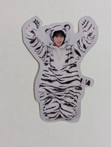 사쿠라자카46 동물 인형옷 야마자키 아마 랜덤 스티커