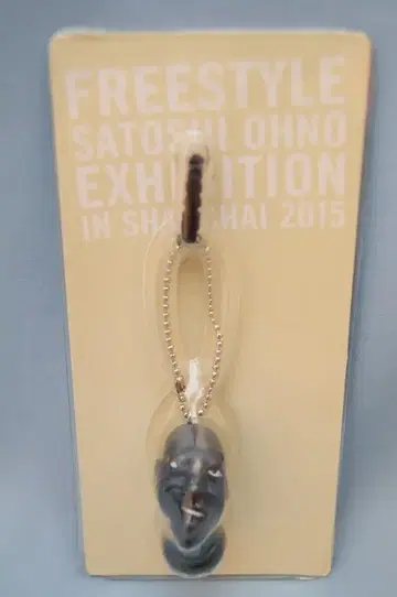 아라시 FREESTYLE in 상하이 2015  오노 사토시 이어폰 잭