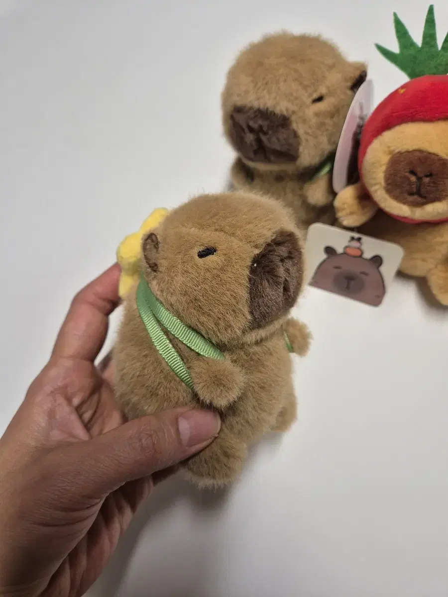 카피바라 인형 키링