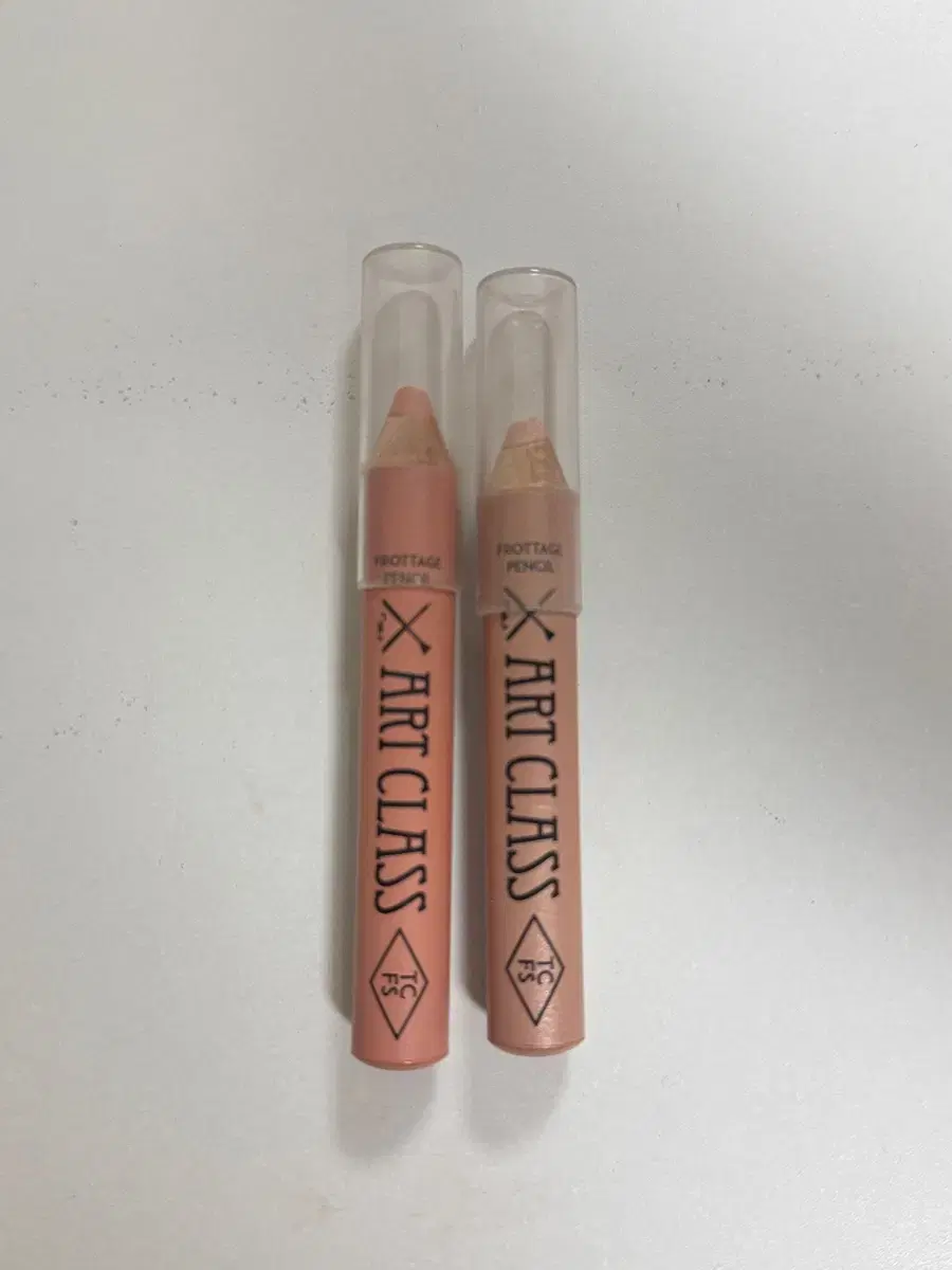 Two Cool for School Art Class Protage Pencil Sentido Bouquet Sheer Nude