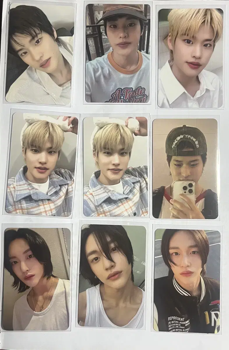 라이즈 포카