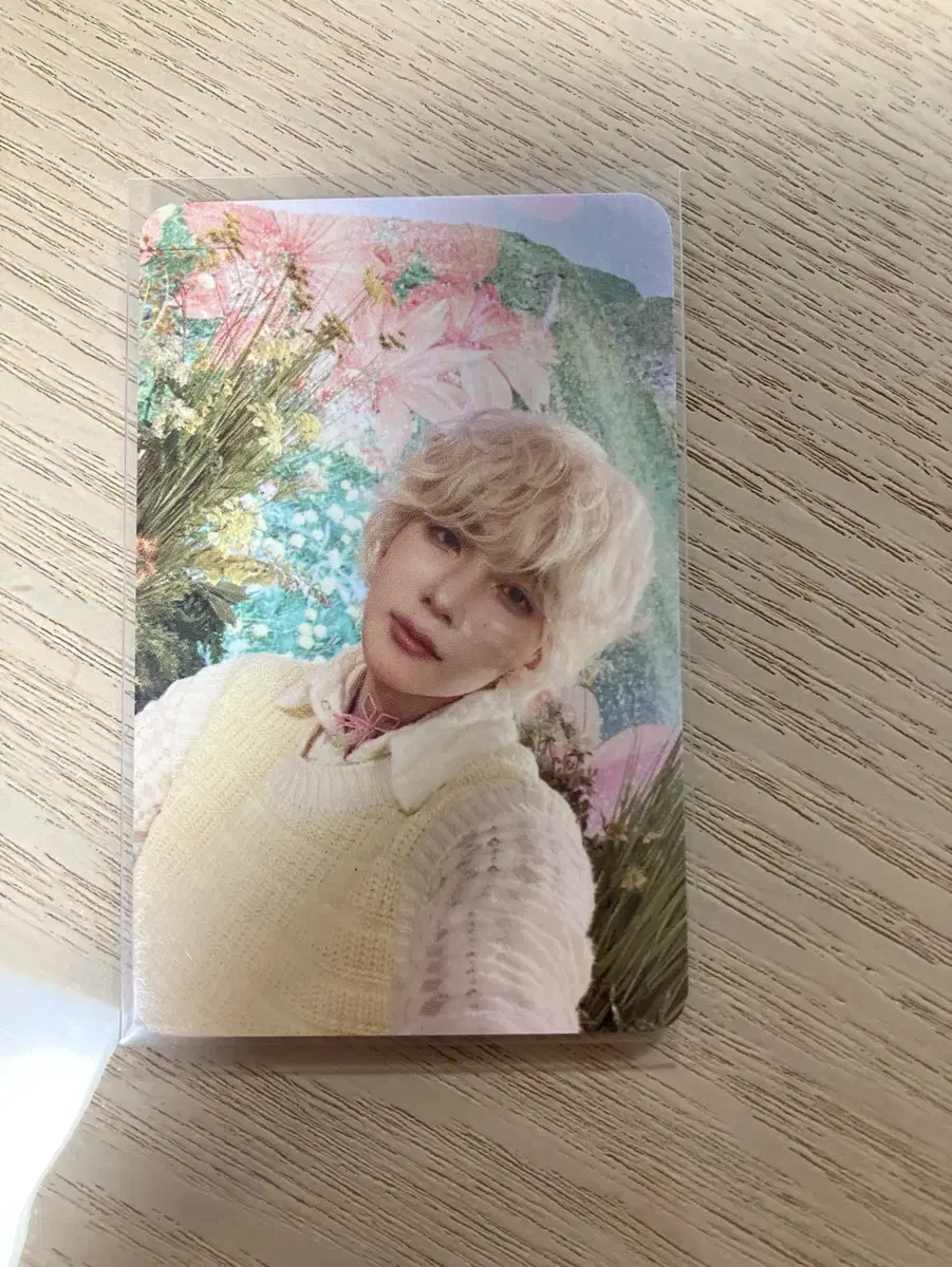 세븐틴 정한 디스맨 금발 예스24 포카