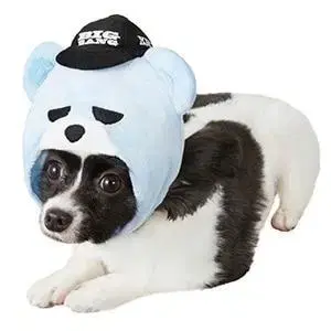 빅뱅 반려동물 인형옷 크렁크 지드래곤