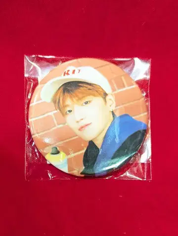 BOYNEXTDOOR JAPAN RIWOO CAN 배지 JP