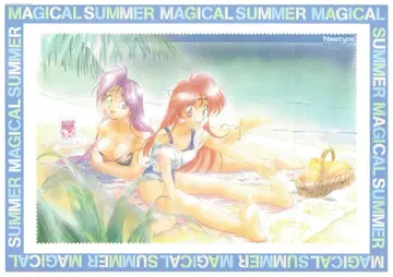 카도카와 서점 Newtype 별책 부록 슬레이어즈 포스터