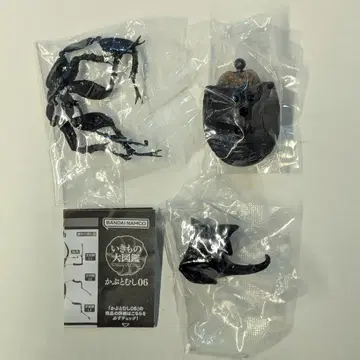 반다이 생물대도감 가부토무시 06 오오츠노멘가타 가부토 3