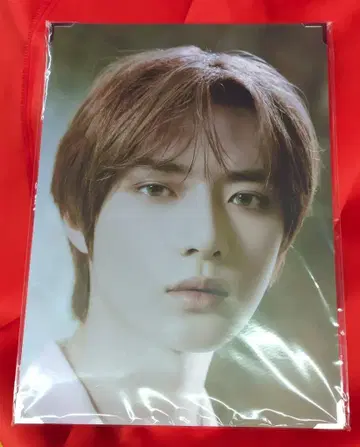 TXT ACT:LOVESICK BEOMGYU 프리미엄 사진