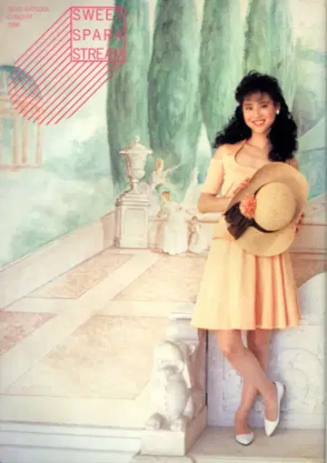 투어 팸플릿 마츠다 세이코 Sweet Spark Stream 88 88