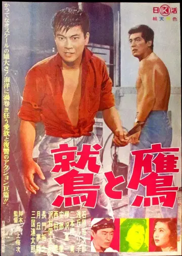 닛카츠 독수리와 매(재상영) B2 포스터