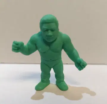 반다이 프로레슬링 선수 후지나미 타츠미(타색)