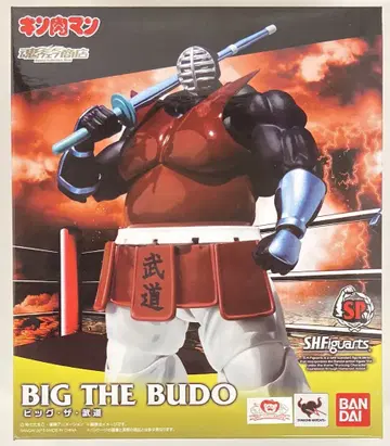 반다이 S.H.Figuarts 빅 더 무도