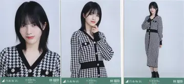 노기자카46 대감사제 2024 하야시 루나 하운드투스 체크 컴프