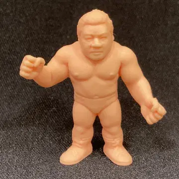 반다이 프로레슬링 선수 후지나미 타츠미(스킨 컬러)