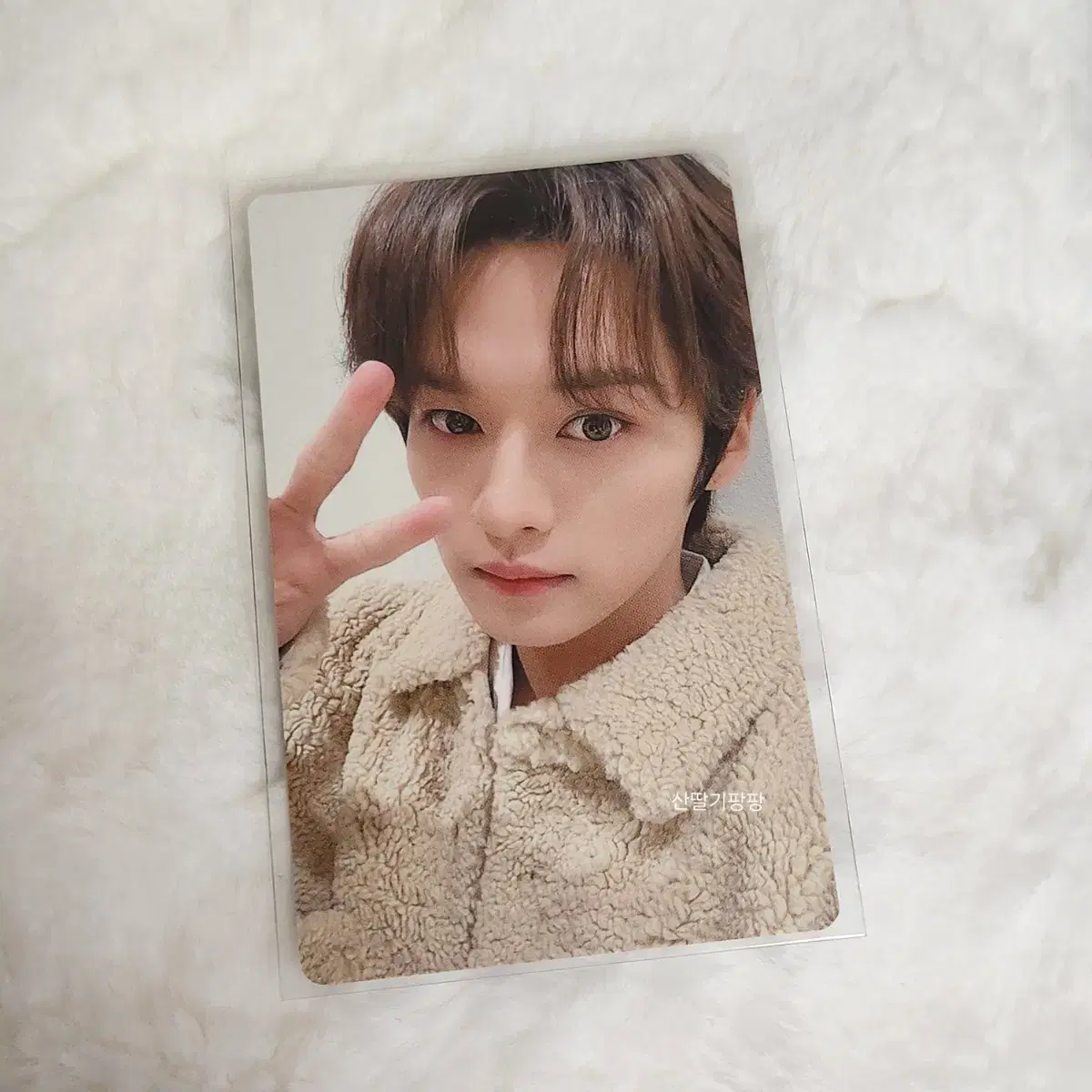 스키즈 리노 매니악 회장한정 포카 판매 양도