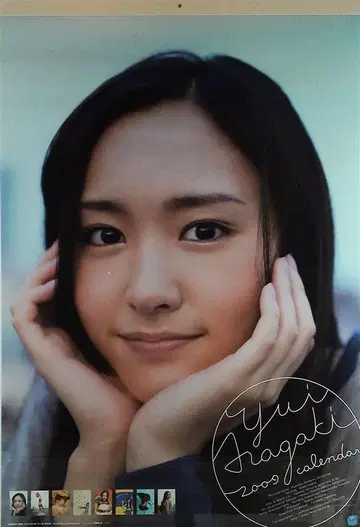 트라이엑스 달력 아라가키 유이 2009 달력 아라가키 유이 B2 달력