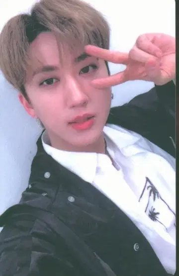 StrayKids ODDINARY Changbin 트레이딩 카드 B