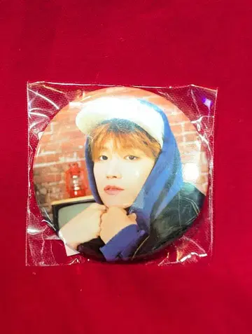 BOYNEXTDOOR JAPAN RIWOO CAN 배지 JP
