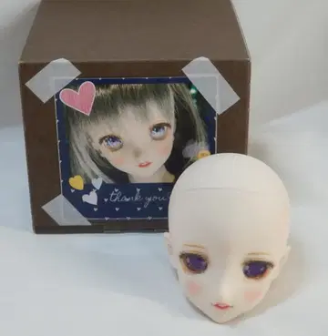 보크스 DDH-09 세미 화이트