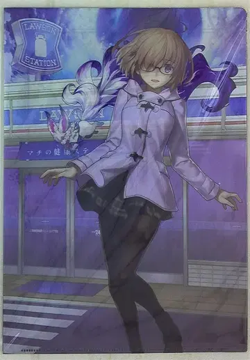 에스아이비 Fate/Grand Order 클리어 파일 세트