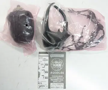 반다이 생물대도감 가부토무시 04 모렌캄프가부토