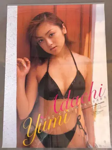 HAGOROMO B2 달력 아다치 유미 2002년 달력 B2 달력
