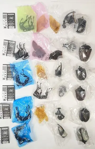 반다이 생물대도감 모자벌레 03 전 6종 세트