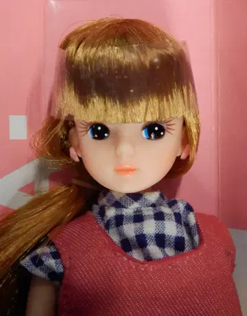 다카라 3대 리카짱 이후 프린트 드레스
