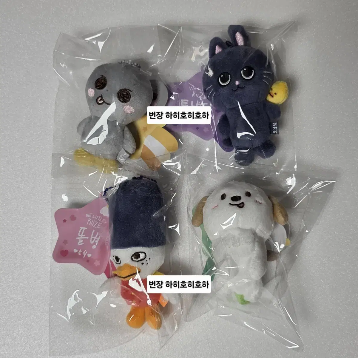 라이즈 팝업 8cm 인형 은석 원빈 소희 앤톤 송용돌이 똘병 토냥덕 멍룡