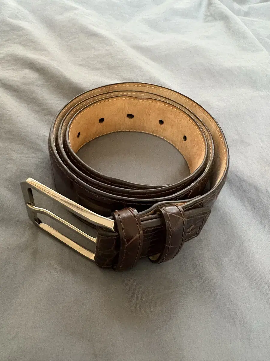 Colombo Alligator Leather Belt 95