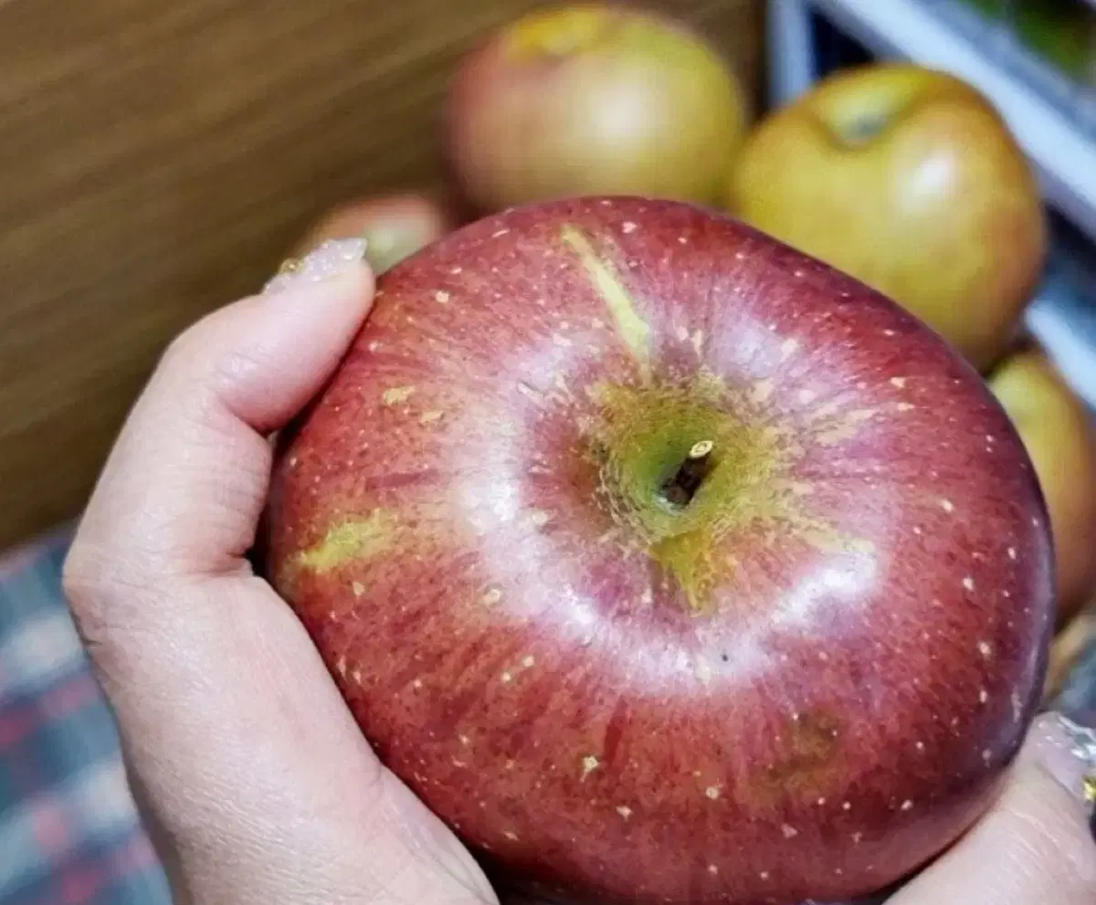 주말특가. 못난이 사과 10kg(박스포함무게/랜덤/혼합/흠과)