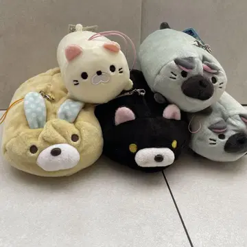 고로네코 서밋 5개 세트