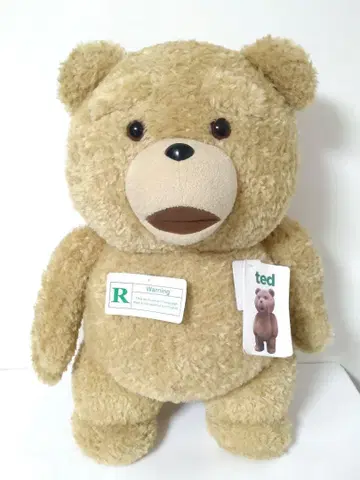 TED 테드 토킹 기능 탑재 말하는 봉제 인형 높이 58cm 빅 빅