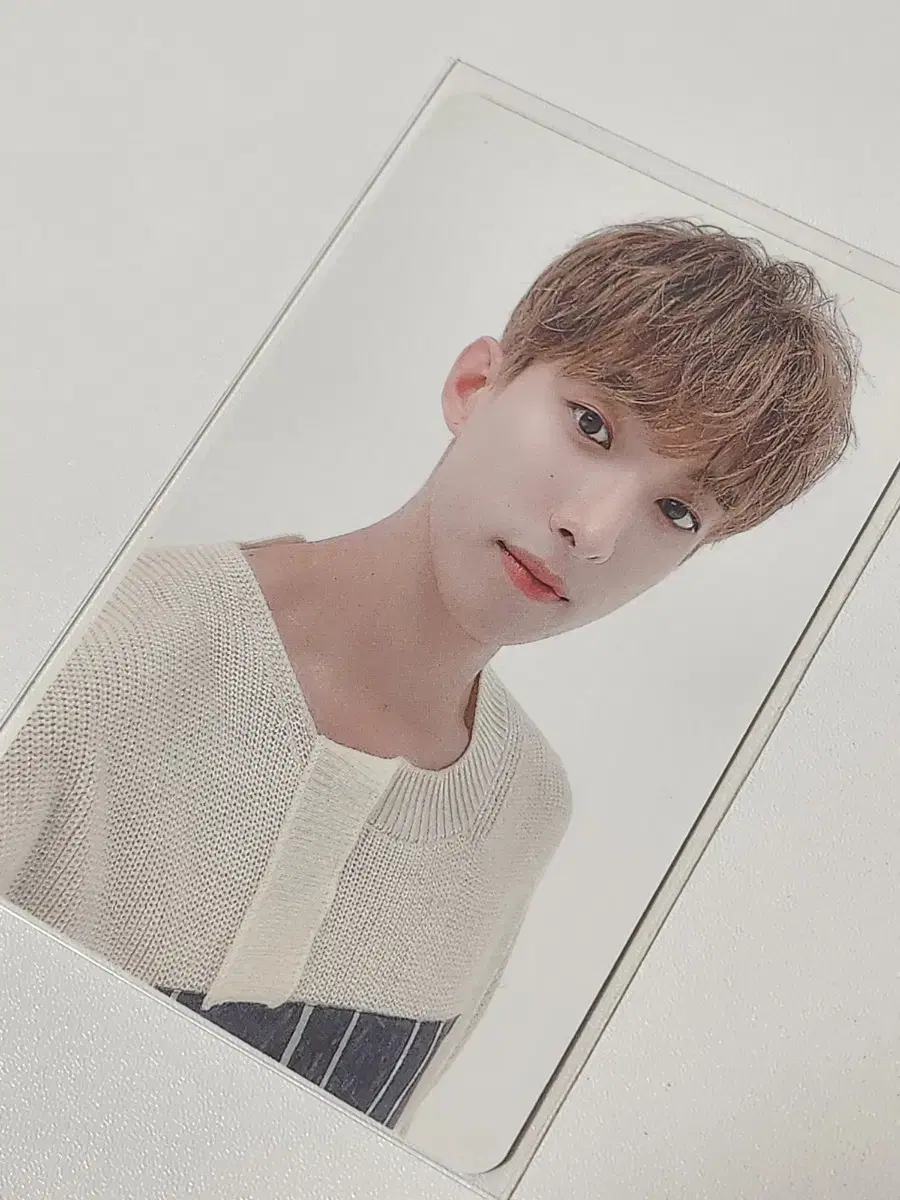 세븐틴 2022 시즌그리팅 시그 포카 도겸