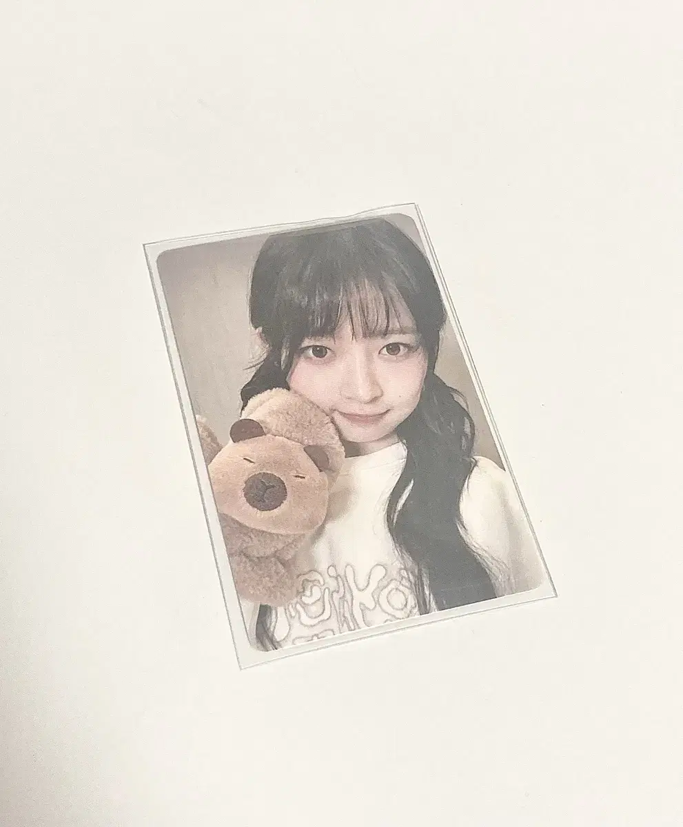 아이브 스위치 이즈위 카피바라 레이 포카(폭덤