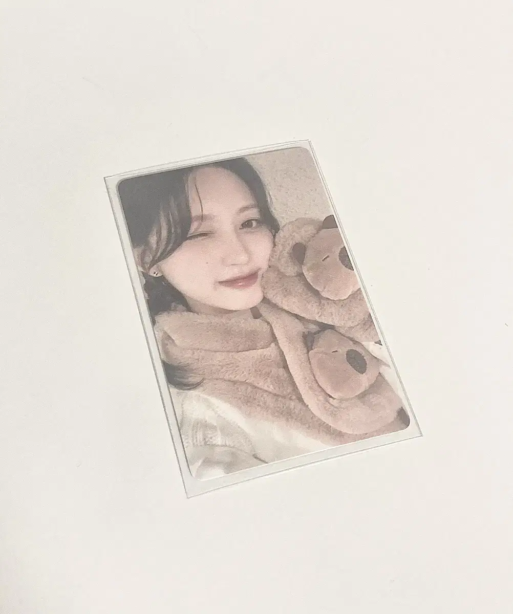 아이브 스위치 이즈위 카피바라 가을 포카(폭덤