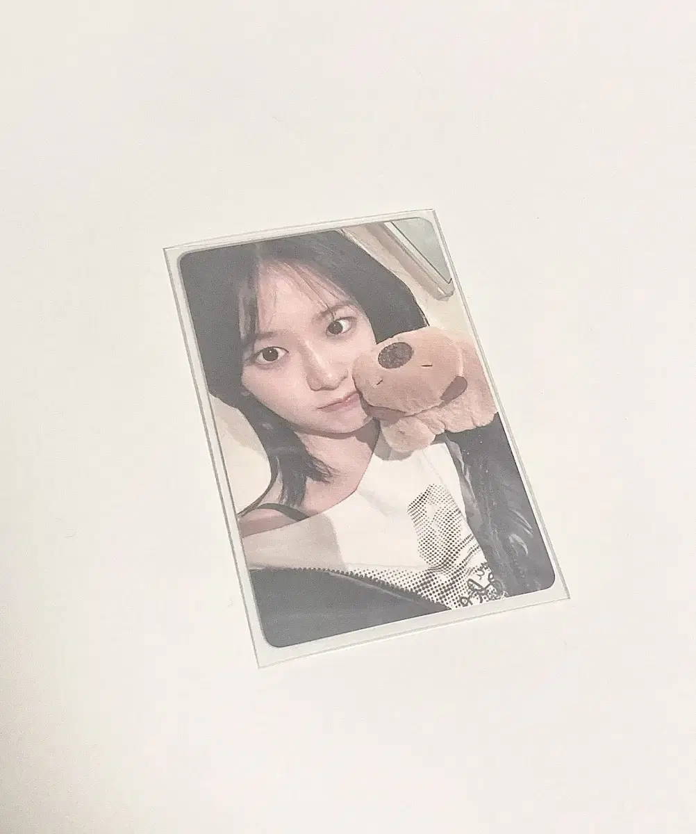 아이브 스위치 이즈위 카피바라 안유진 포카(폭덤
