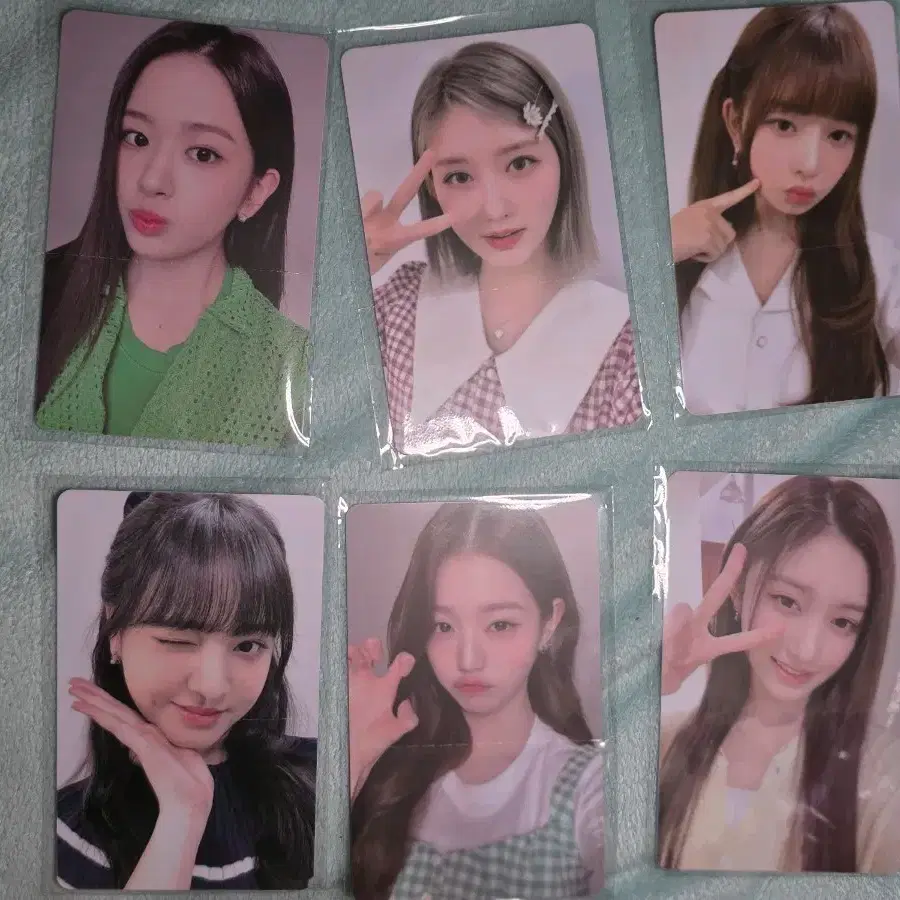 아이브 파파존스 포카5종+키링 일괄판매