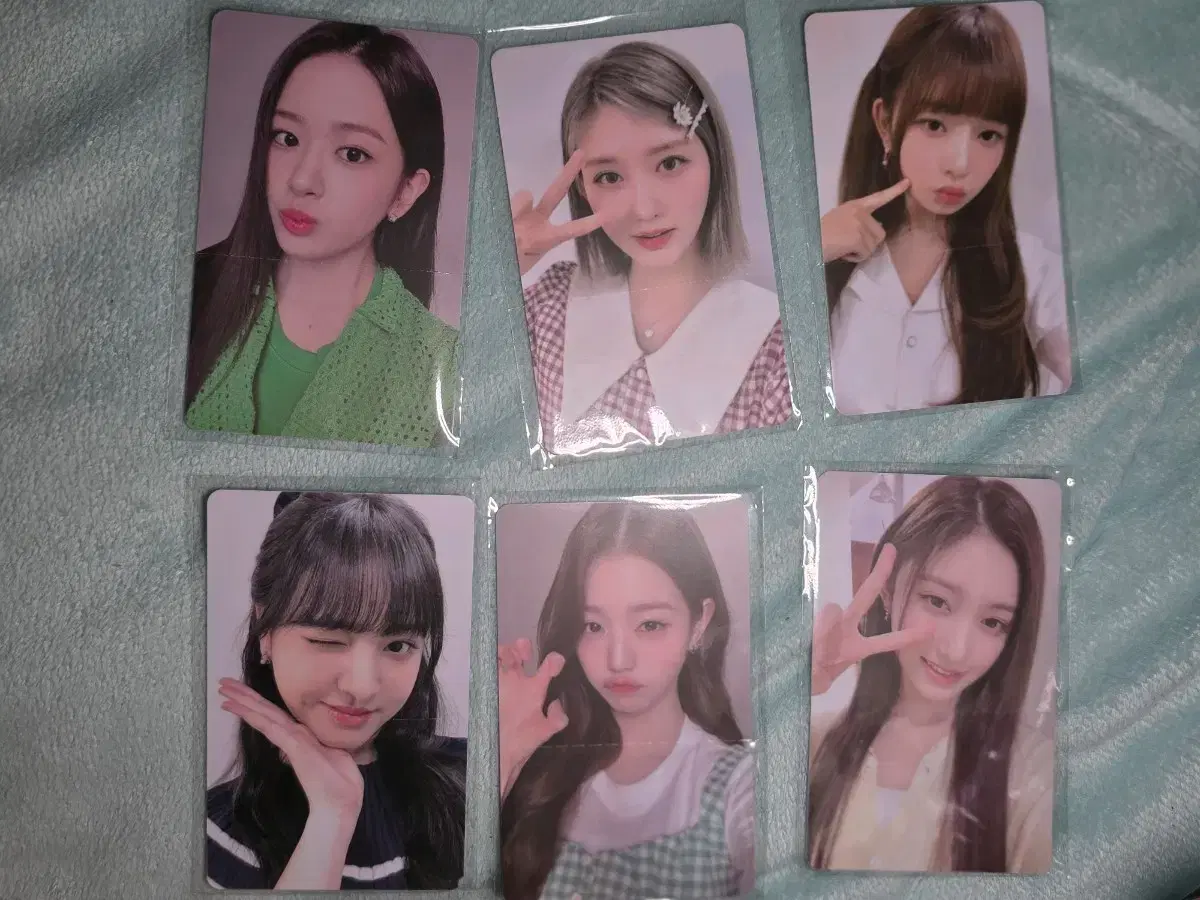 아이브 파파존스 포카5종+키링 일괄판매